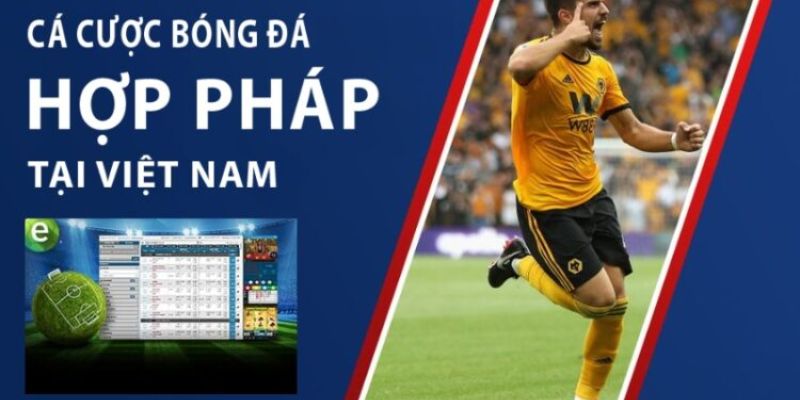 Bongvip và cá độ bóng đá hợp pháp ở Việt Nam