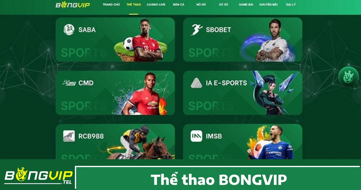 BONGVIP 24 Cược thể thao là một trong những sản phẩm chủ lực và được Bong Vip đầu tư kỹ lưỡng