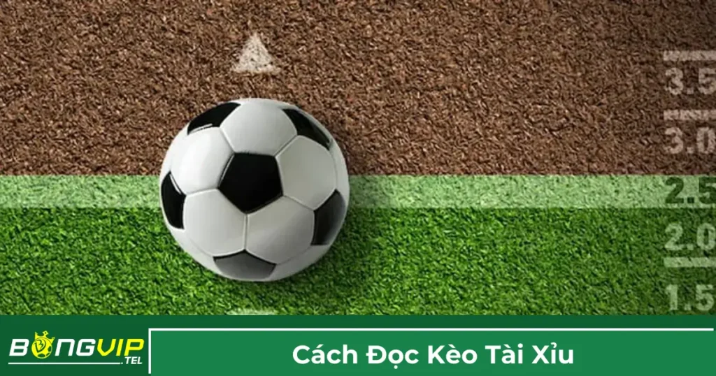 Cách Đọc Kèo Tài Xỉu Bóng Đá: Chi Tiết Cho Tân Thủ Bongvip 1 Nguyên tắc chung khi đọc kèo Tài Xỉu