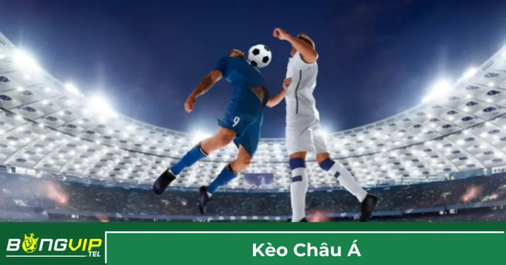 Kèo Châu Á Là Gì? Hướng Dẫn Đọc Kèo Chuẩn Tại Bongvip 1 Giải thích về kèo châu Á trong cá cược bóng đá
