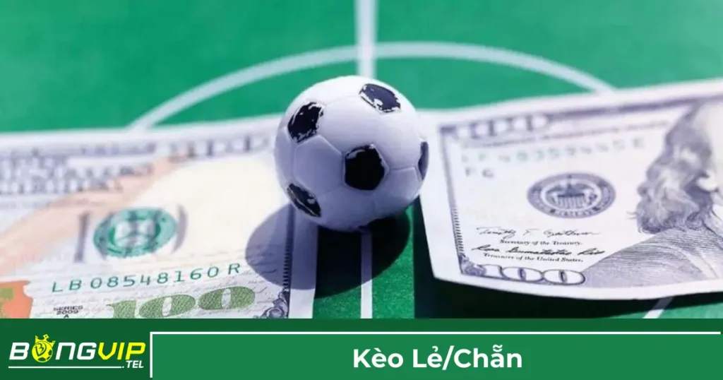 Kèo Lẻ/Chẵn Là Gì? Cách Chơi Kèo Độc Đáo Trên Bongvip 1 Giải thích kèo lẻ/chẵn