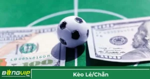 Giải thích kèo lẻ/chẵn