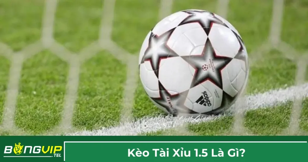 Kèo Tài Xỉu 1.5 Là Gì? Cách Đọc Kèo Chính Xác Tại Bongvip 1 Định nghĩa kèo Tài Xỉu 1.5