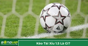 Định nghĩa kèo Tài Xỉu 1.5