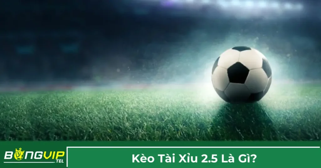 Kèo Tài Xỉu 2.5 Là Gì? Cách Đánh Hiệu Quả Tại Bongvip 1 Kèo 2.5 là gì và cách tính tiền?