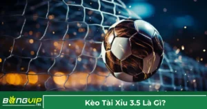 Kèo 3.5 là gì và cách tính tiền cược?